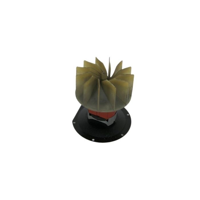 Kachelmotor+fan Amazon+P1800 12 volt 1965- nieuw repro