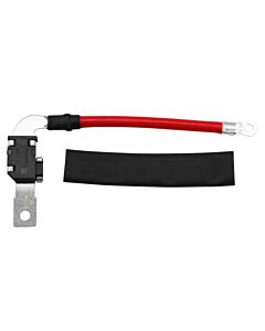 Zekering batterijkabel V40