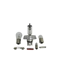 Reserve lampset 6 volt met H4 halogeen lamp met P45 aansluiting