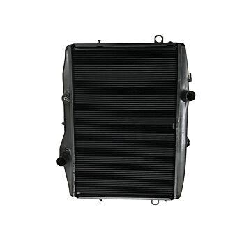 Radiateur 164 B30 automaat RUIL 252170 252176 statiegeld Eur 200