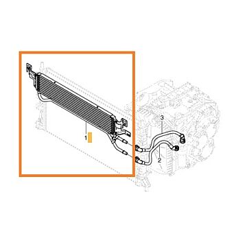 Refroidisseur d'huile de transmission Volvo C30 C70 (2006-) S40 V50 (2004-) Powerhift automatique MPS6 pour Volvo