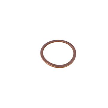 Ring afdichting hoofdremcilinder reservoir Amazon 672769